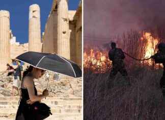 Euroopassa 50 000 ihmistä kuollut – ”hiljainen murhaaja” news-13082024-005309