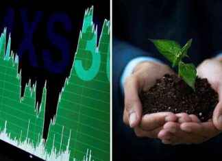 Navigointi kestävyyden viidakossa: vinkkejä ja ohjeita news-13082024-005440