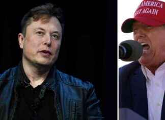 Elon Muskin raivoisa hyökkäys EU:ta vastaan news-13082024-010918