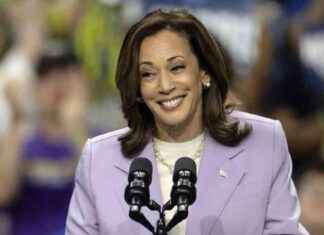 Lisa Magnusson: Demokraatit ovat vihdoin löytäneet jotain, joka puree Trumpiin news-13082024-011915