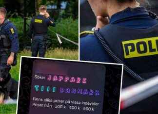 Svenska rekryterare lockar unga till våldsamma handlingar news-13082024-013431