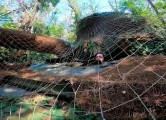 Kolme mahdollista skenaariota Kurskin tapahtumille news-13082024-015338