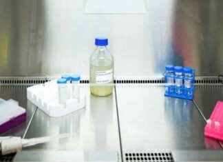 Covid-19 leviää edelleen Suomessa – katso missä tapauksia eniten news-13082024-020648