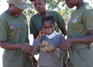 Zimbabwen koululaisia uhkaavat villieläimet – oppivat tunnistamaan vaarat news-13082024-021446