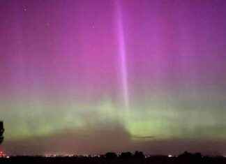 Norrsken Skånessa: Upeat kuvat revontulista news-13082024-021827