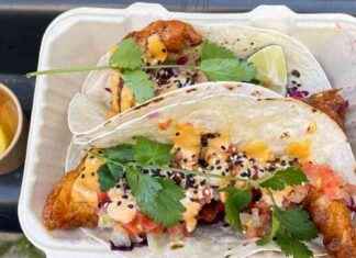 Festivaaliruokatesti: Salsakickin arvostelu festivaalilla news-13082024-023347