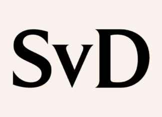 Viisi loukkaantui puukotuksessa moskeijan lähellä Turkissa | Uutiset SvD:ltä news-13082024-031931