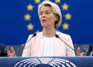 EU:n poliittisten puolueiden merkitys kasvaa | SvD Debatt news-13082024-033642