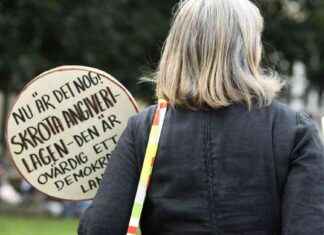 Ruotsi saa kritiikkiä ehdotuksestaan ilmiantolaki news-13082024-033940