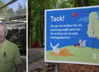 Hembygdsparken tienaa paljon pysäköintimaksuilla news-13082024-034416