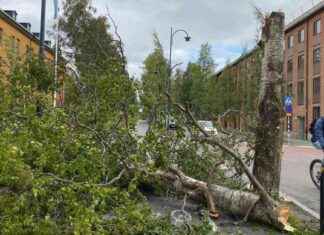 Kuntien turvallisuusarvio: Korkea turvallisuustaso news-13082024-041038