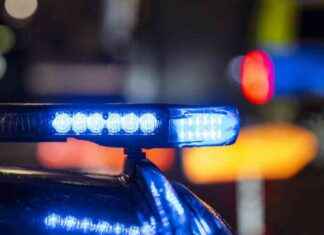 Kaksi miestä pidätetty epäillystä raiskauksesta news-13082024-041214