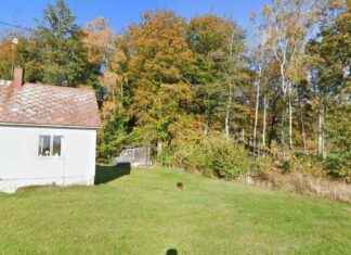 Pariskunta 30-vuotiaana osti mökin Västersjön rannalta news-22082024-052750