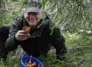 Metsäsienestäjä Julle – Suomen oma sienikuningas news-01092024-133540