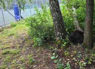 Pojat iskemät salamasta vaaratta news-04092024-135309