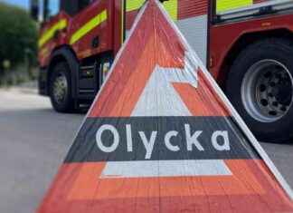 Auto törmäsi hirven kanssa E14-tiellä news-12092024-215835