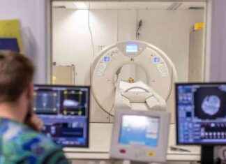 Tekoäly nopeuttaa dinosaurusten tutkimusta news-13092024-015603