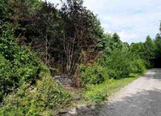 Gängman jahtaa Malmössä: Brittiläisten kaksinkertainen murha news-13092024-140536