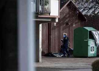 Mahdollinen murhaaja Plantagenilla vapautettu viiden kuukauden vankeuden jälkeen news-14092024-141402