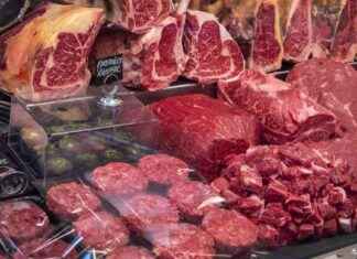 ÄLÄ MAKSA KARJAVARKAUDESTA: Insändare keskittyy lihaan news-16092024-164622