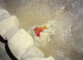 Unohtuneet juustonaksut muuttivat ekosysteemiä. news-17092024-045525