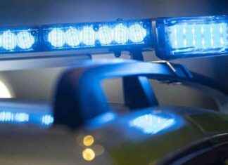 Kotona tapahtui ryöstö kysyttäessä kissanruokaa – mitä tehdä? news-17092024-221640