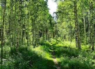 Säästä vihreät alueet Anderstorpin kaupungissa news-18092024-142032