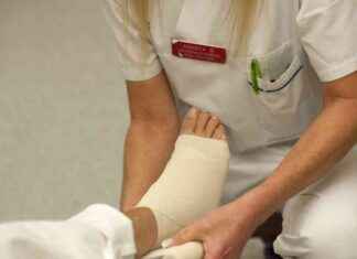 Yhteistyössä kuntien kanssa toteutettava lähisairaanhoito news-20092024-084021