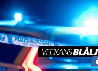 Villa tuhoutui tulipalossa – yksi henkilö menehtyi • Työntekijä loukkaantui moottorisahalla news-22092024-221706