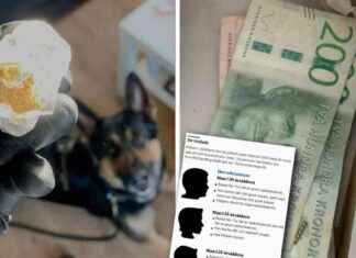 Langatut lääkkeet – auttavatko ne todella päihdeongelmaisia? news-23092024-062004