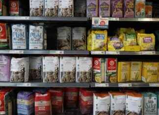 Pohjoisen ruokakriisin laiminlyönti hallituksen toimesta news-25092024-141241