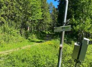 Turvallisuusvinkit: Vältä liukastumisia talvisella juoksuradalla news-26092024-151213