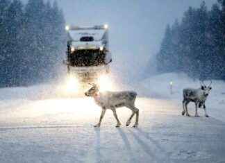 Lämpötila terveysriskinä – talvella ja kesällä news-27092024-001228