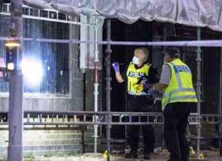 Ruotsalaiset johtajat etsivät apua oikeustieteen professorilta news-27092024-183517