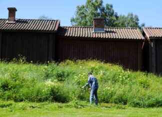 Säilytä osaaminen kotiseutuliikkeessä news-04102024-002142