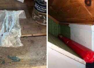 Dynamitin säilyttäminen makuuhuoneessa: Huonosti tehty news-05102024-100916