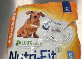 Hundruoka oli huumetta – rikollinen verkosto paljastui news-11102024-174803