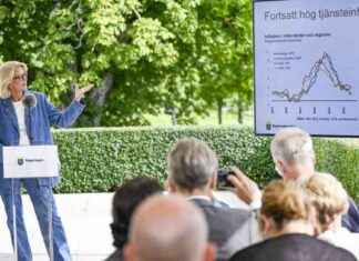 Högerns blinda fläck: En analys av högerblockets politik news-11102024-235648