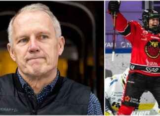 Luleåbosse: Tärkeä kysymys koko Norrbottenille news-14102024-211259