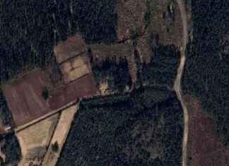 Tontti Bygdeåssa vaihtanut omistajaa – hinta: 250 000 kruunua news-15102024-152722