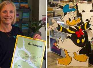 Kalle Anka-hysteria Östersundissa: Jättehienoa news-24102024-181423