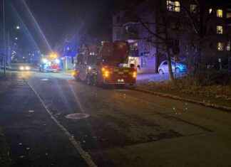 Risupaketti aiheutti hälytyksen Frösössä news-25102024-001924