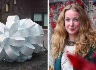 Lista: Taideprojekteihin sijoitettu summa news-25102024-062023