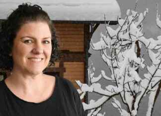 Pohjoisessa ei ole synkkää: se on kodikasta! news-04112024-162526