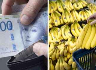 Kalleimmat hedelmät ja vihannekset – koko lista news-05112024-163132