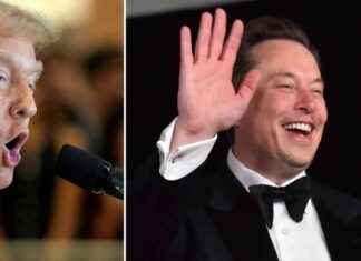 Kuinka vastustaa Trumpia ja Elon Muskia: Käytännön vinkit ja strategiat news-06112024-163949