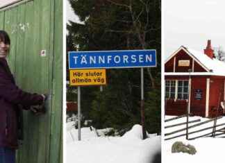 Michelle uskoo Tännforsen sijoitukseen: Uskon tähän news-08112024-224429