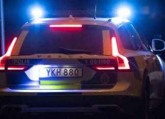 Kahden koiran karkumatka E14:llä news-10112024-045219