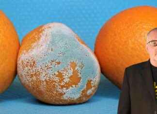 Vihaan ostoksia Skellefteåssa: Vertailu Lontooseen news-11112024-151251