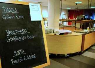 Torstaprojektin tavoitteena on taata ilmaiset koululounaat Norjassa. news-14112024-170000